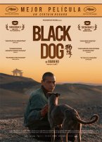 Black Dog (V.O.S.E.)