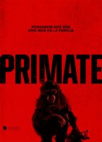 Primate