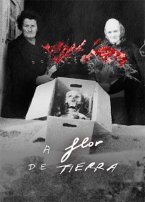 IM&Aacute;GENES CON MEMORIA: A FLOR DE TIERRA 